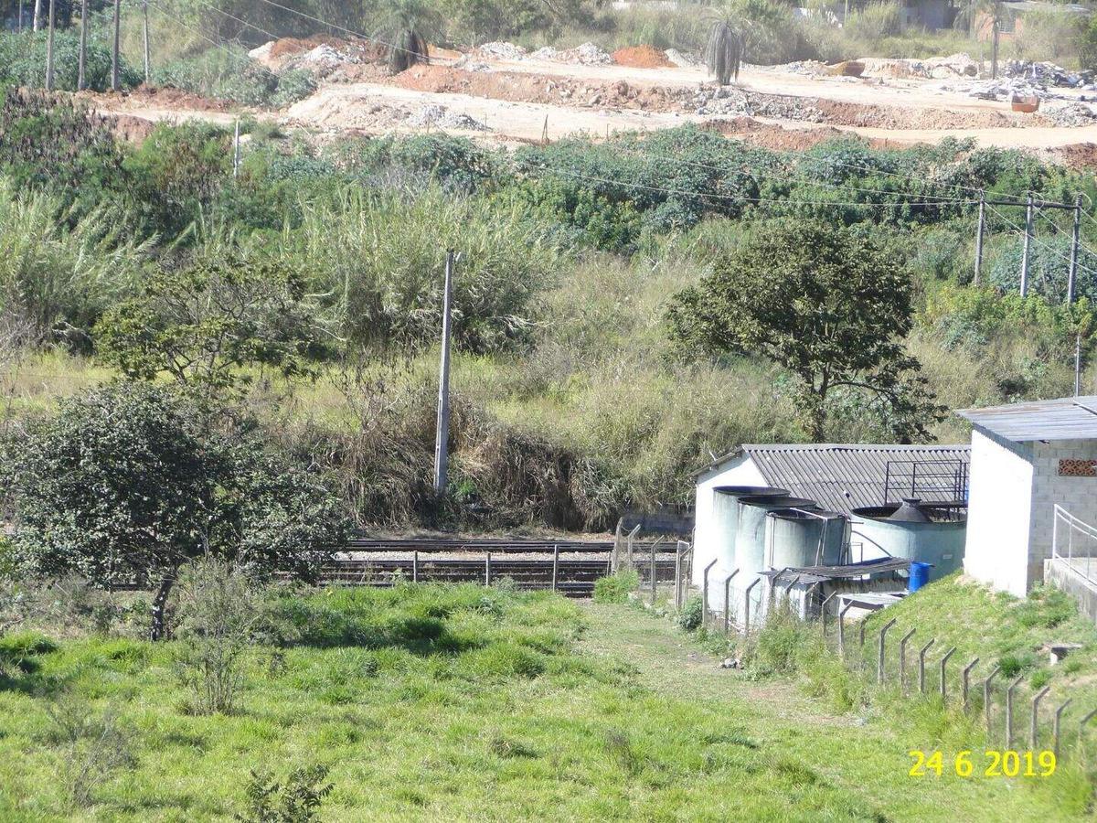 Lote, Vila Olga, 0 Quarto, 0 Vaga