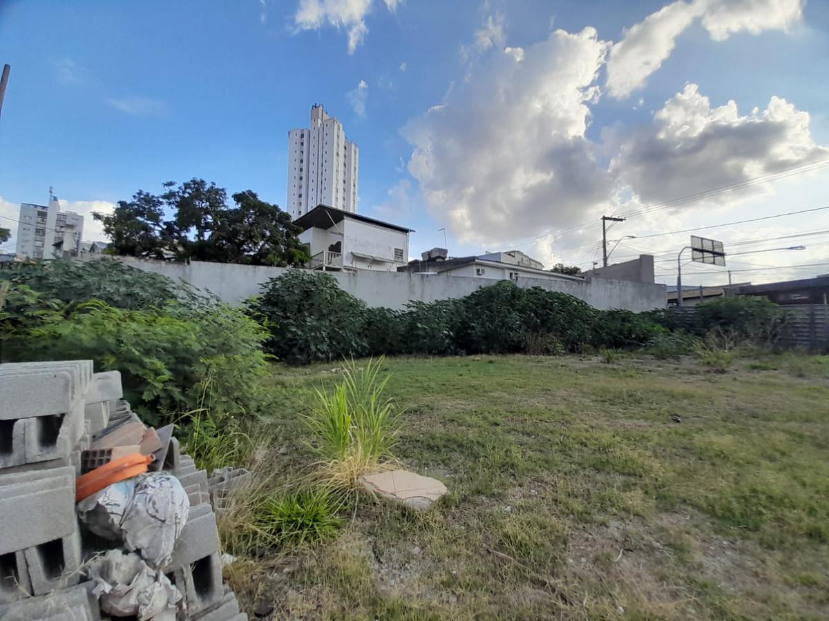 Lote, Floresta, 0 Quarto, 0 Vaga