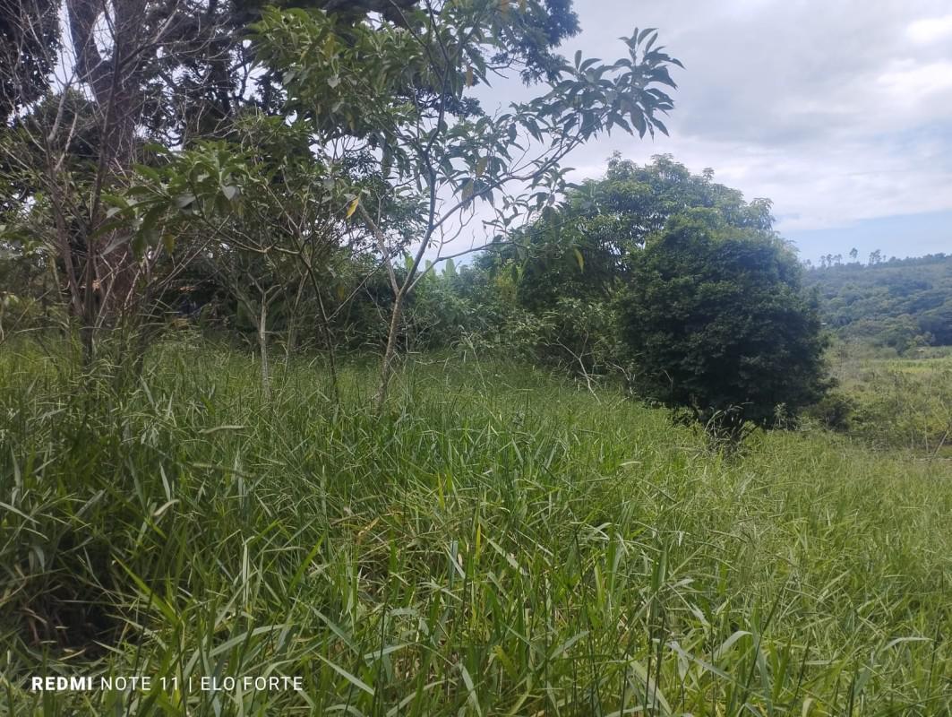 Fazenda, Centro, 0 Quarto, 0 Vaga