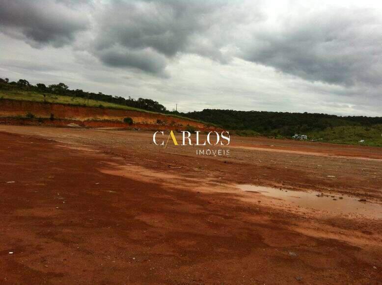 Lote, Kennedy