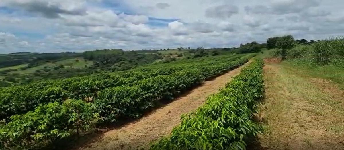 Fazenda, Zona Rural, 3 Quartos, 3 Vagas