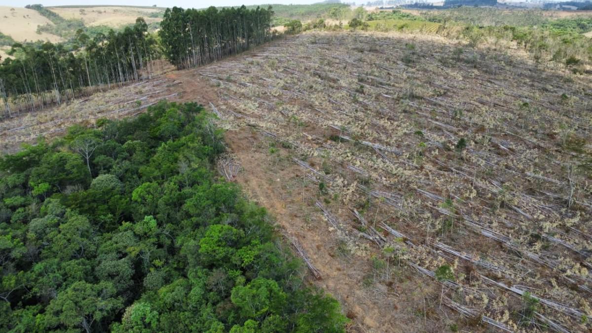 Fazenda, Zona Rural, 4 Quartos, 0 Vaga
