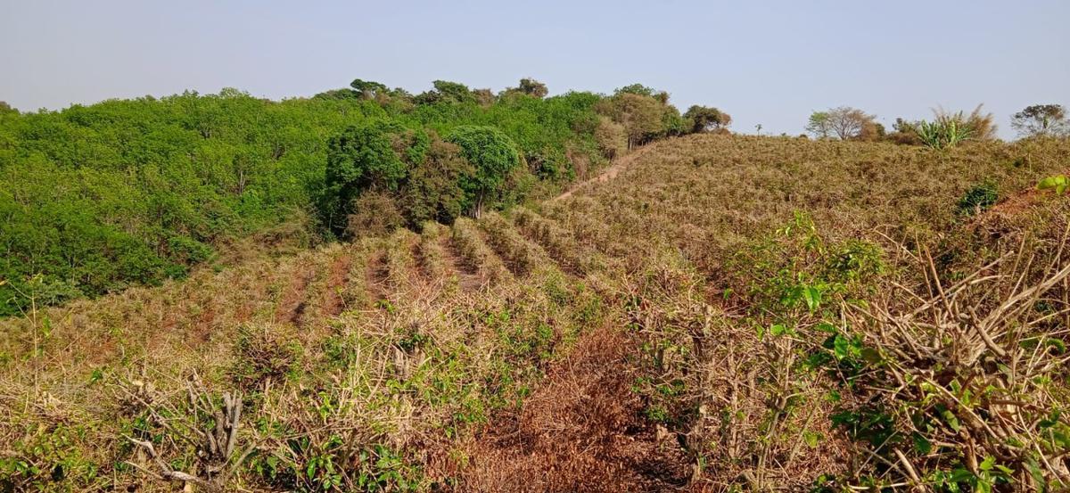 Fazenda, Zona Rural, 0 Quarto, 0 Vaga