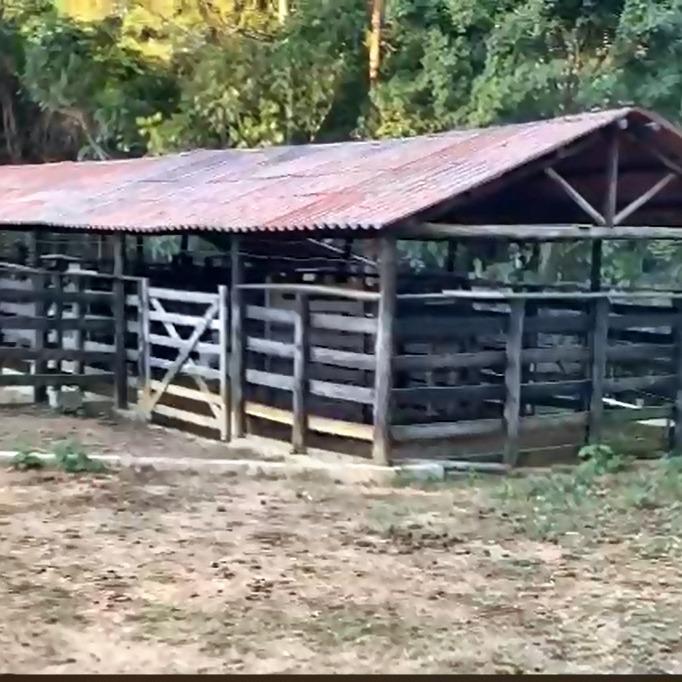 Fazenda, Centro, 4 Quartos, 10 Vagas, 1 Suíte