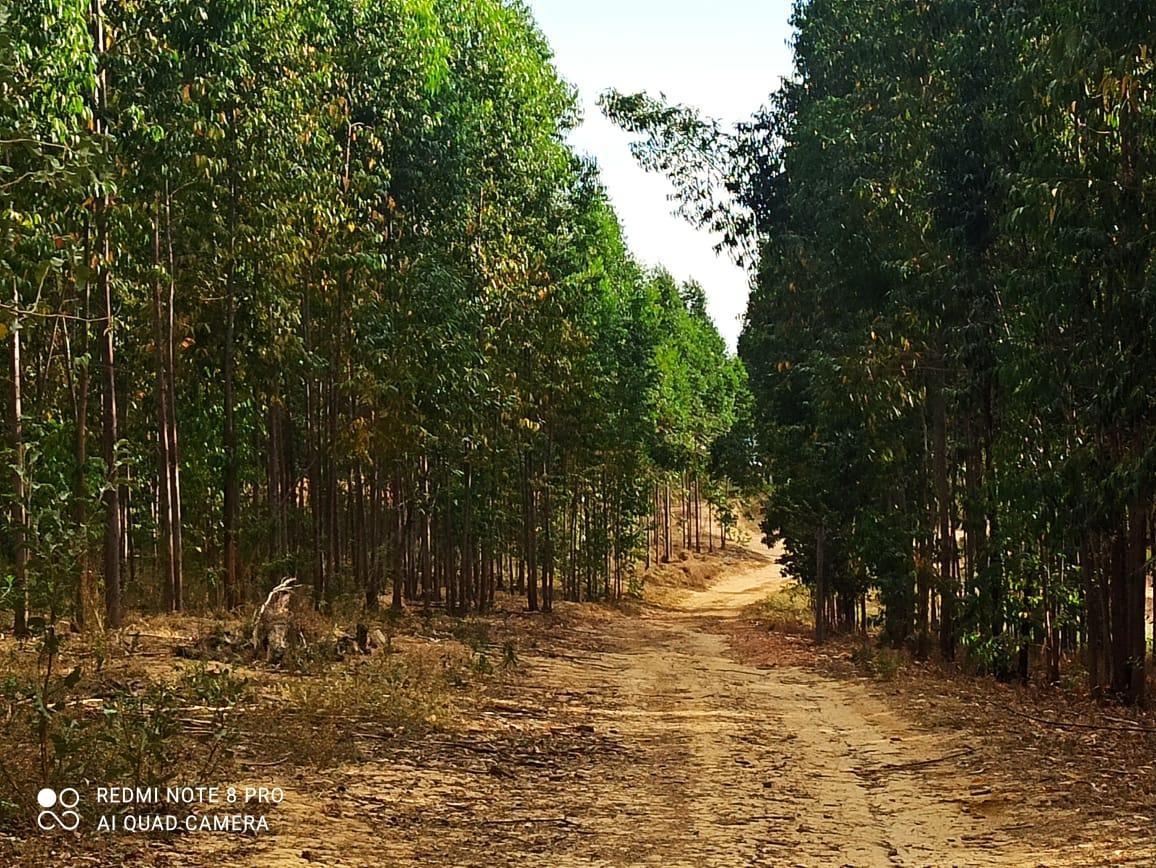 Fazenda, Zona Rural, 0 Quarto, 0 Vaga