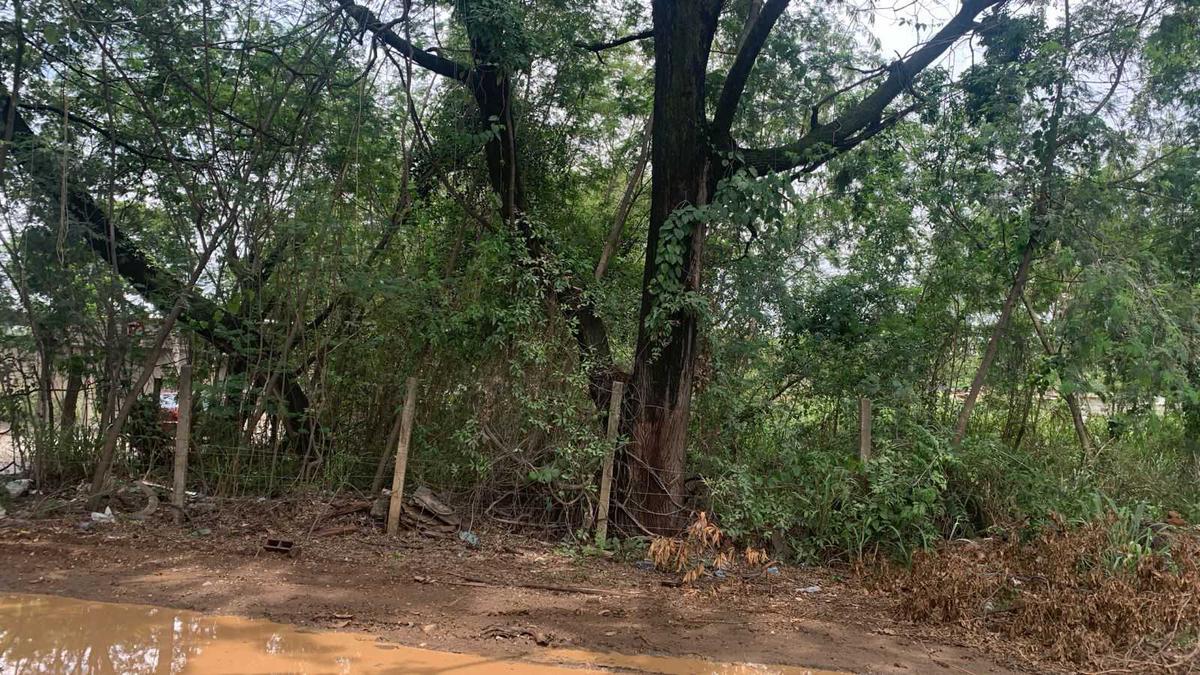 Lote, Centro, 0 Quarto, 0 Vaga