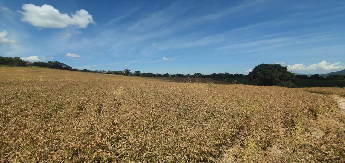 Fazenda, Centro, 1 Quarto, 1 Vaga