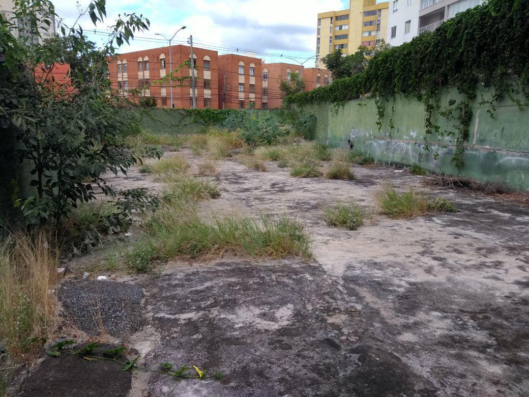 Lote, São Luiz (pampulha)