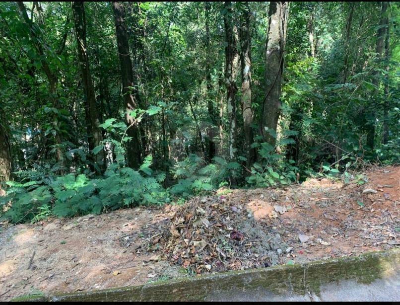 Lote, Retiro do Chalé, 0 Quarto, 0 Vaga