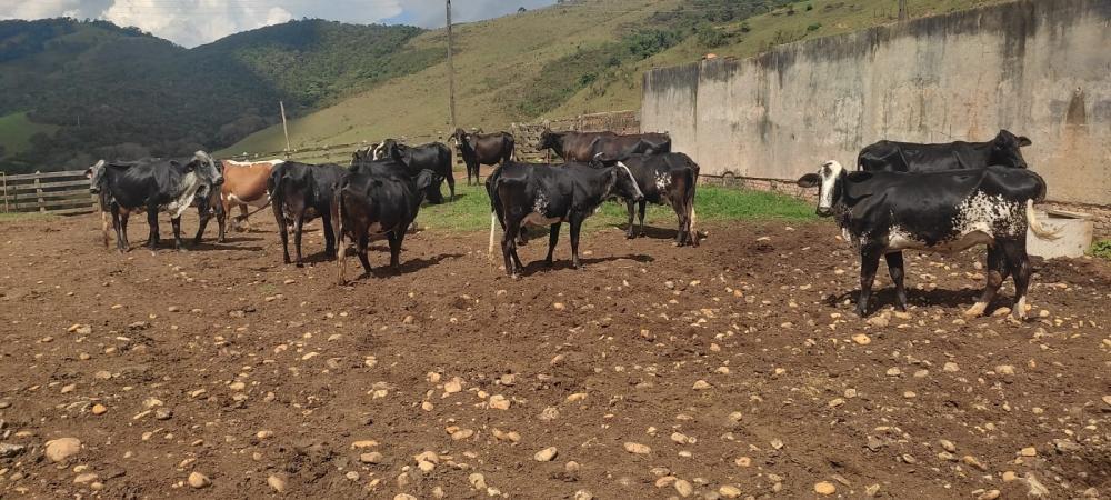 Fazenda, Centro, 3 Quartos, 1 Vaga