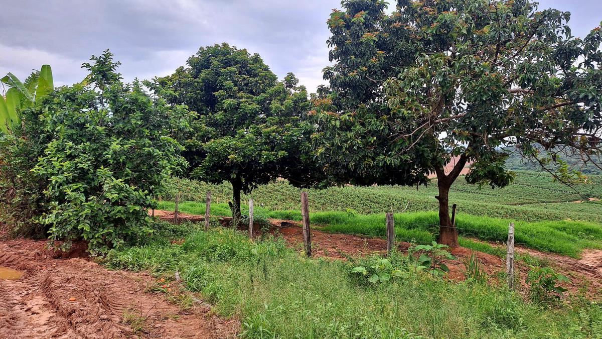 Fazenda, Zona Rural, 3 Quartos, 0 Vaga