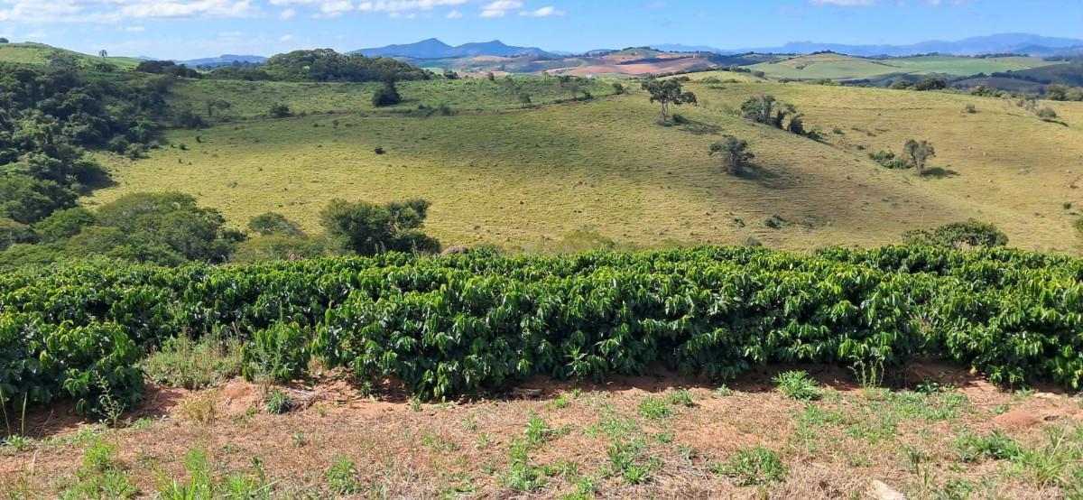 Fazenda, Zona Rural, 0 Quarto, 0 Vaga