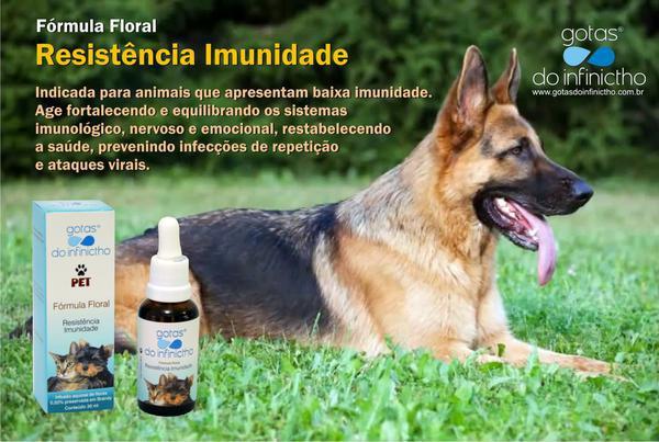 Florais No Tratamento de Animais