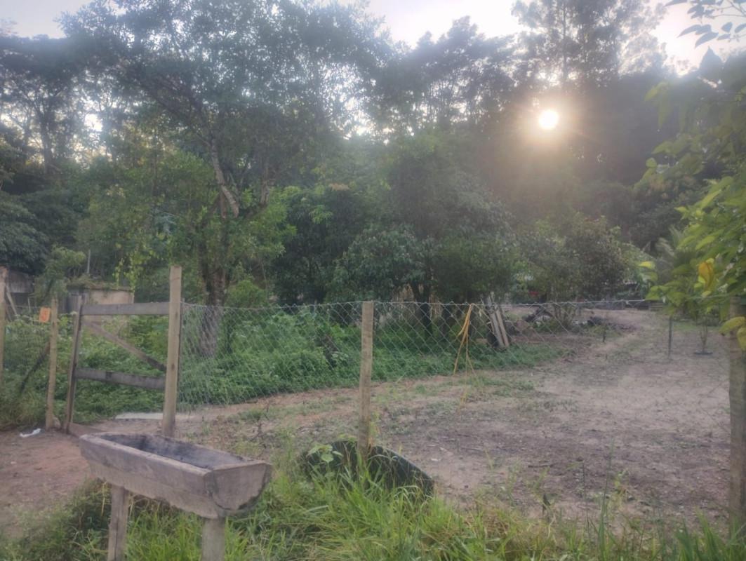 Fazenda, Centro, 0 Quarto, 0 Vaga
