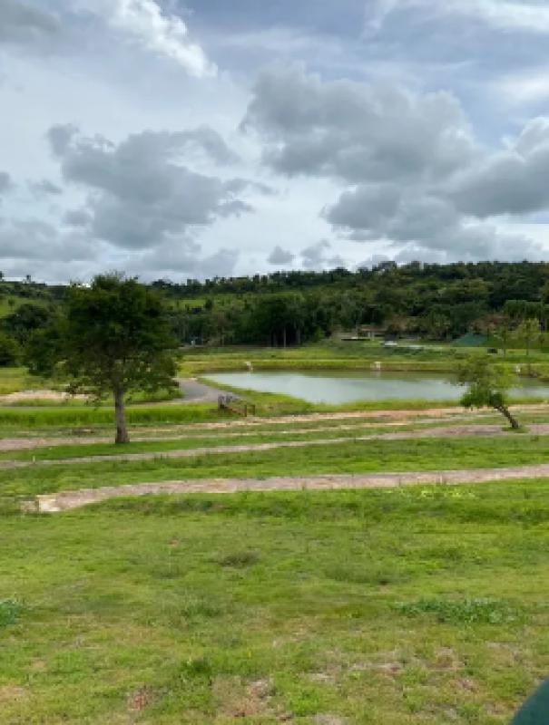 Lote, Universitário, 0 Quarto, 0 Vaga
