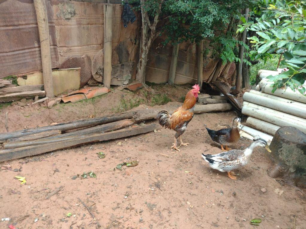 Casa, Rosário, 3 Quartos, 11 Vagas, 2 Suítes