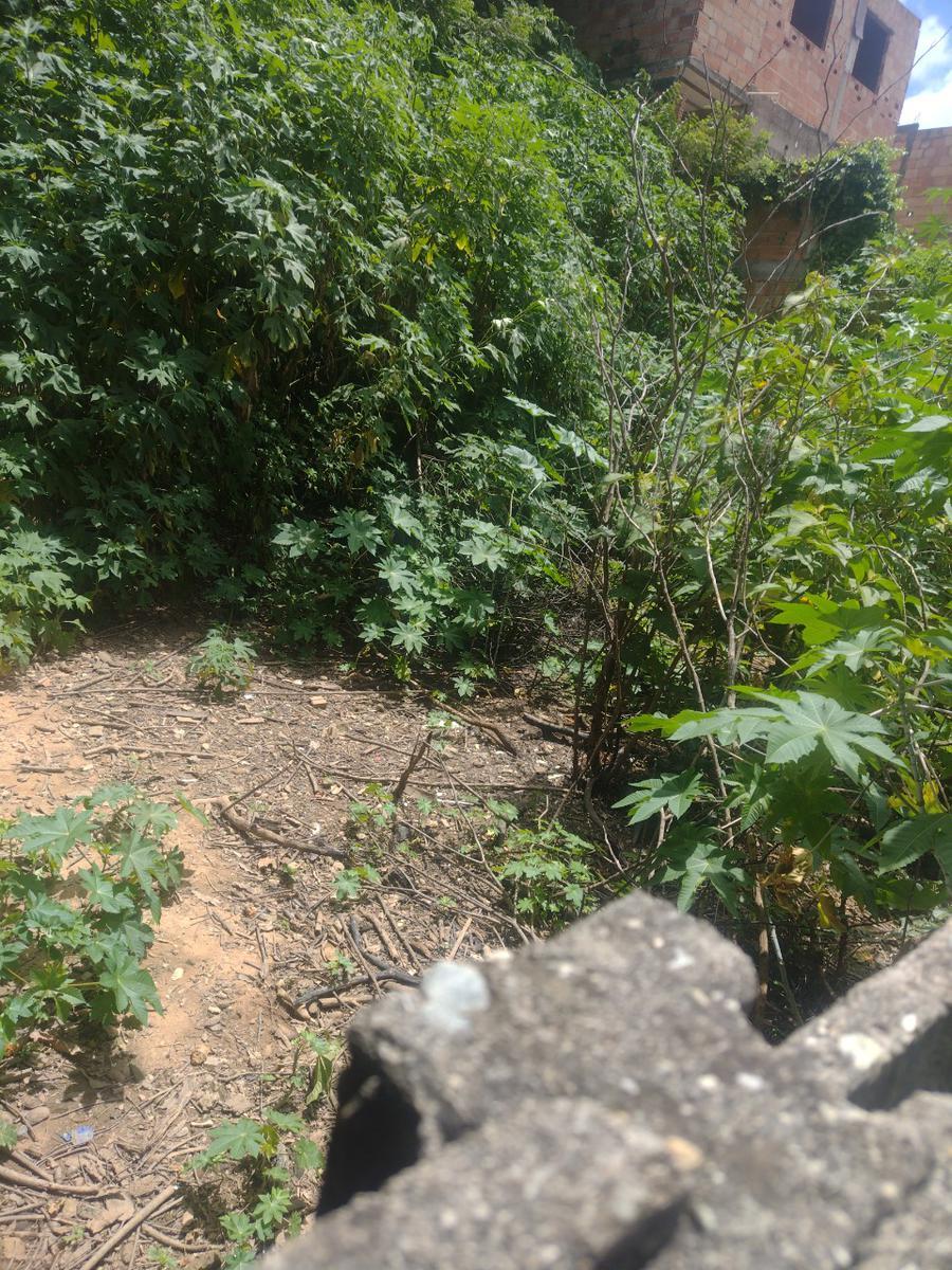 Lote, Colonial, 0 Quarto, 0 Vaga