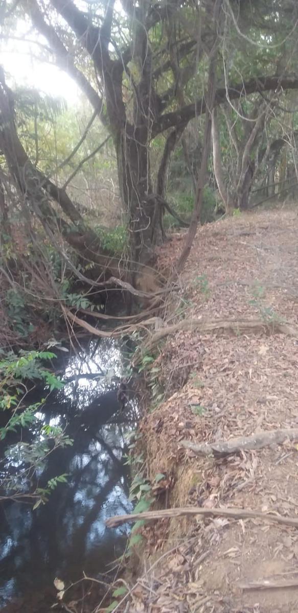 Fazenda, Campinho, 0 Quarto, 0 Vaga
