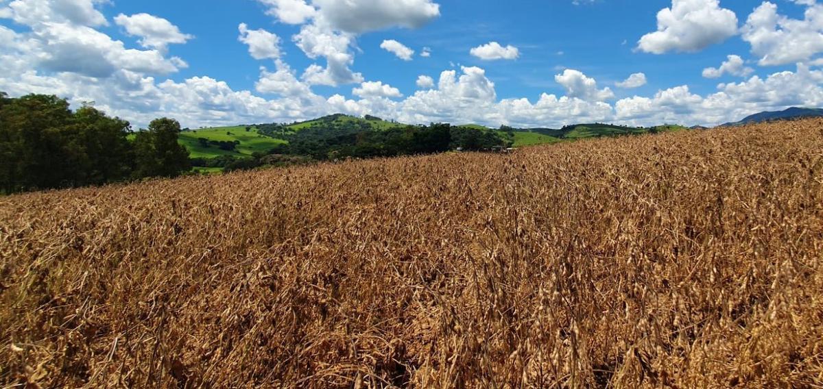 Fazenda, Centro, 1 Quarto, 1 Vaga