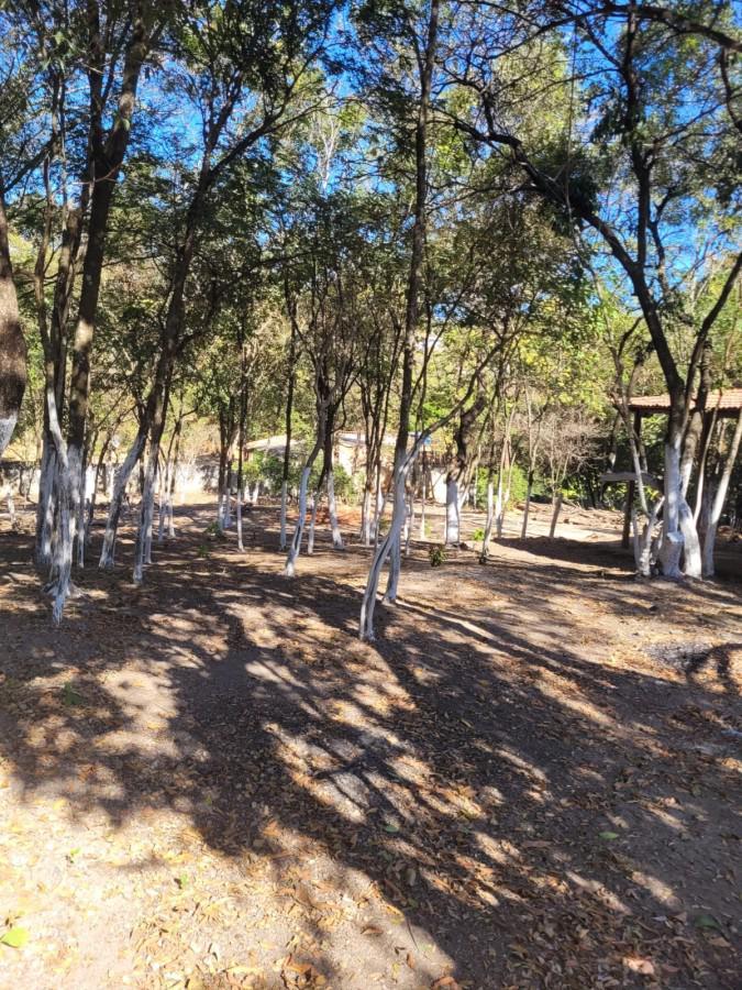 Lote, Liberdade, 0 Quarto, 0 Vaga