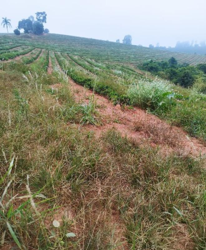 Fazenda, Zona Rural, 0 Quarto, 0 Vaga