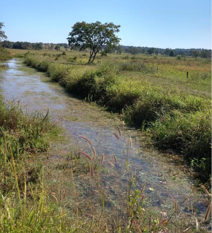 Fazenda, Zona Rural, 0 Quarto, 0 Vaga