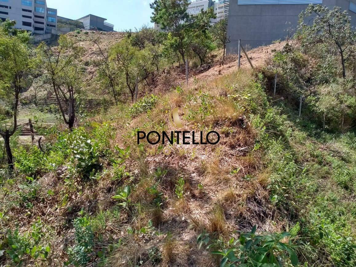 Lote, Estoril, 0 Quarto, 0 Vaga
