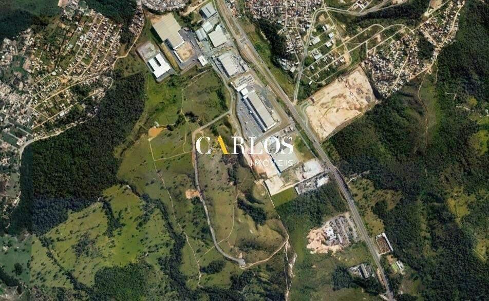 Lote, Liberdade