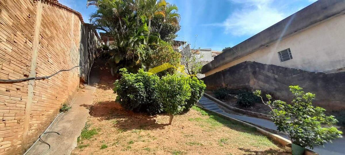 Casa, Palmeiras