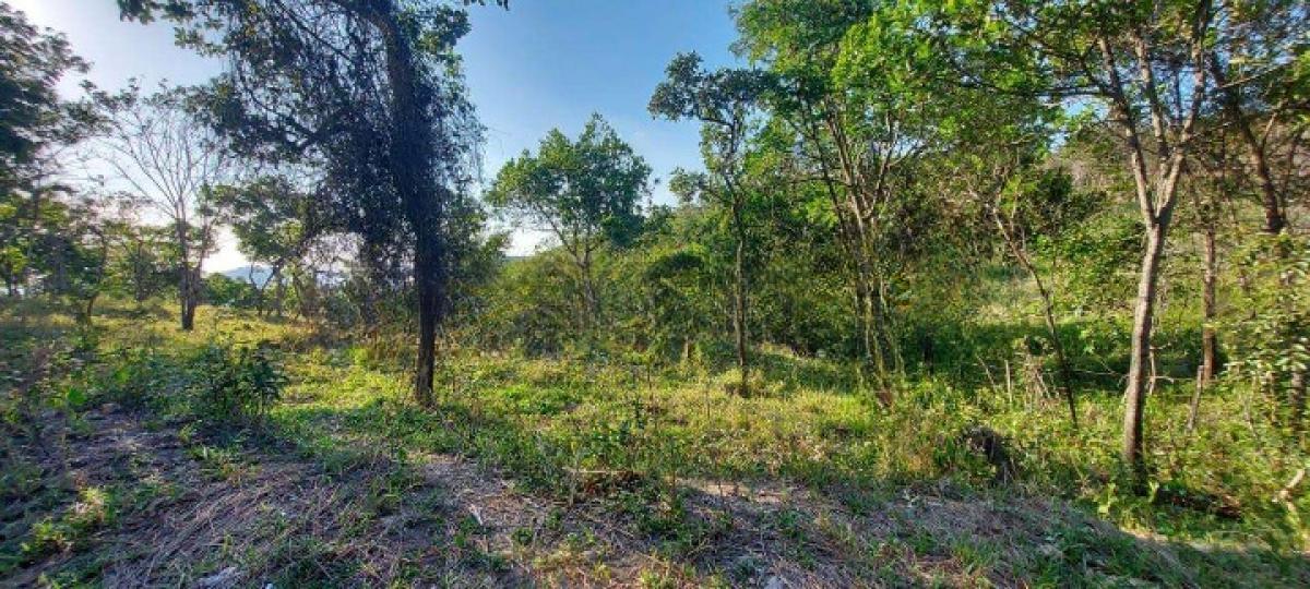 Fazenda, Area Rural de Santa Luzia, 0 Quarto, 0 Vaga