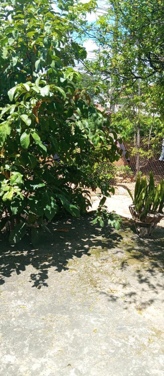 Casa, Céu Azul, 2 Quartos, 0 Vaga