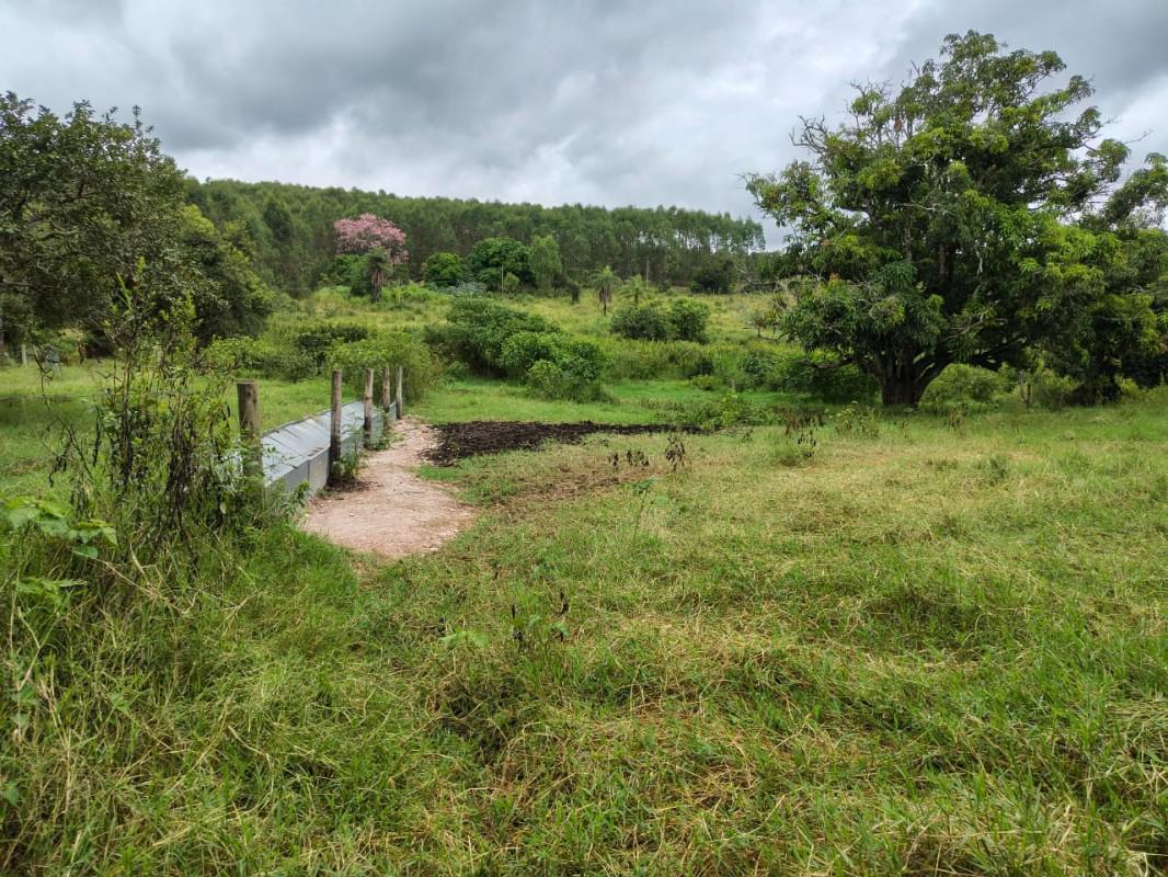 Fazenda, Zona Rural, 5 Quartos, 0 Vaga