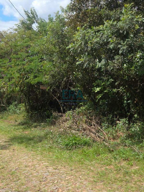 Lote, Parque do Engenho, 0 Quarto, 0 Vaga