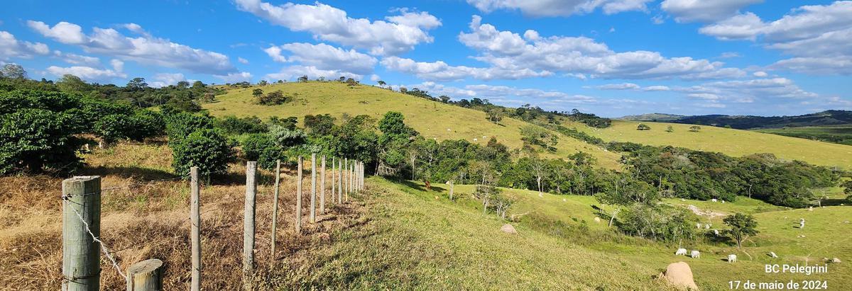 Fazenda, Zona Rural, 9 Quartos, 0 Vaga, 5 Suítes
