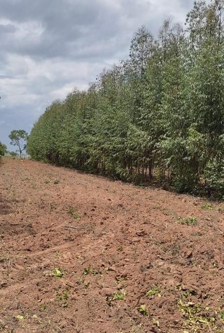 Fazenda, Zona Rural, 3 Quartos, 0 Vaga