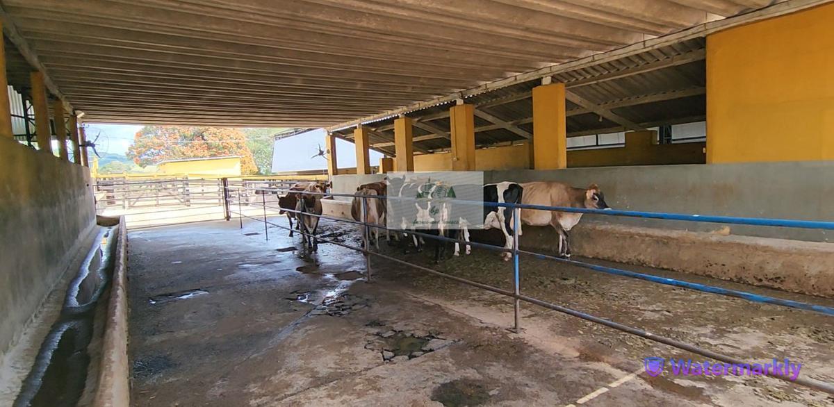 Fazenda, Centro, 6 Quartos, 4 Vagas, 1 Suíte