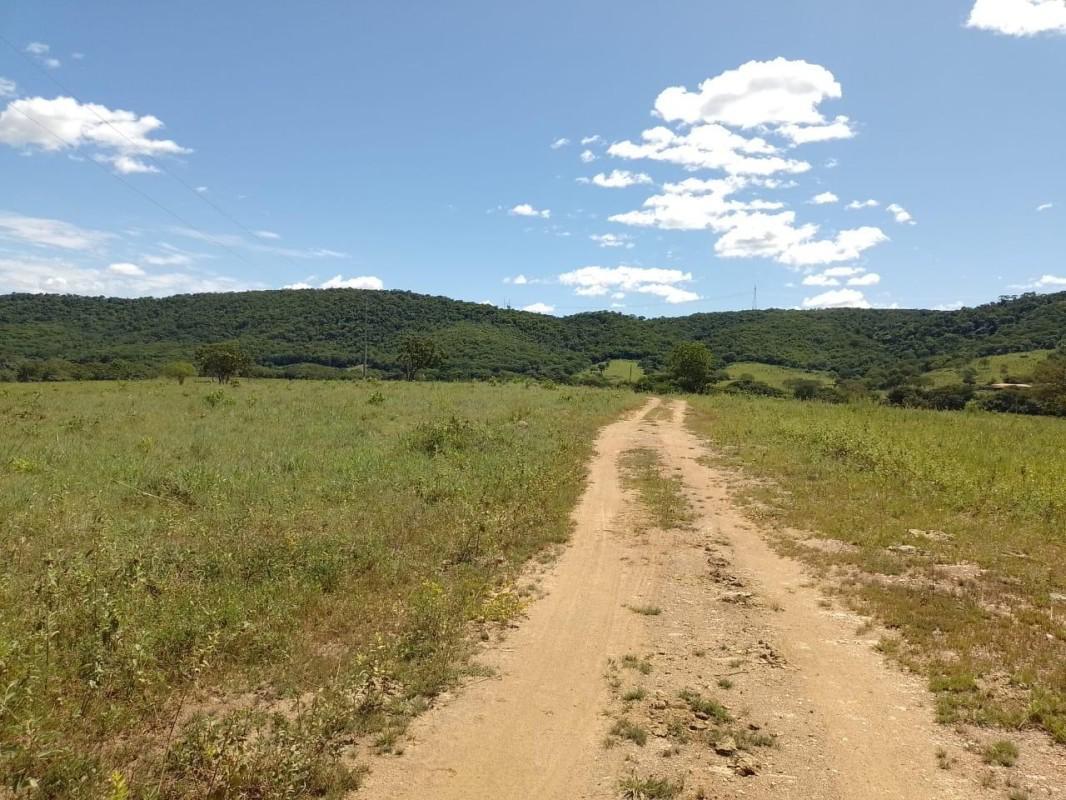Fazenda, Centro, 10 Quartos, 0 Vaga, 2 Suítes