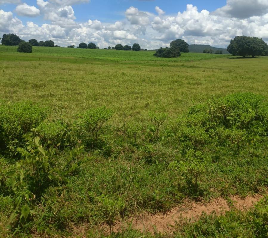 Fazenda, Zona Rural, 0 Quarto, 0 Vaga