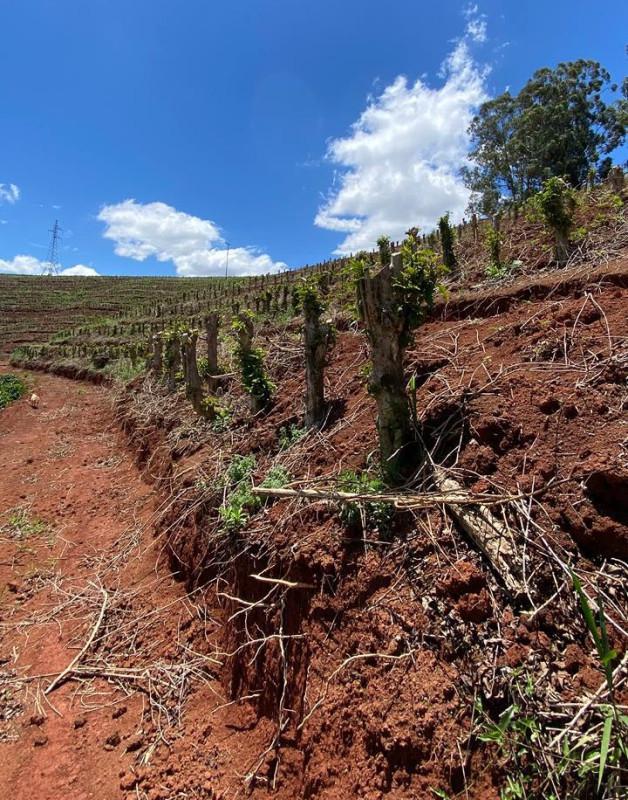Fazenda, Zona Rural, 0 Quarto, 0 Vaga