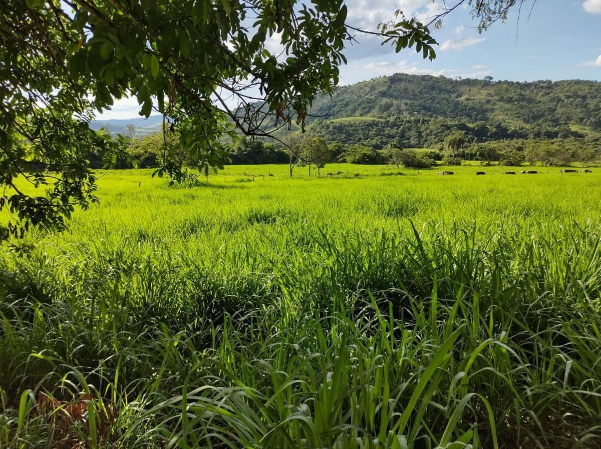 Fazenda, Centro, 4 Quartos, 2 Vagas