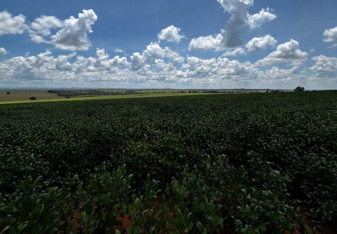 Fazenda, Centro, 0 Quarto, 0 Vaga