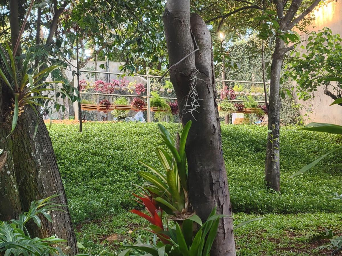 Lote, Enseada das Garças