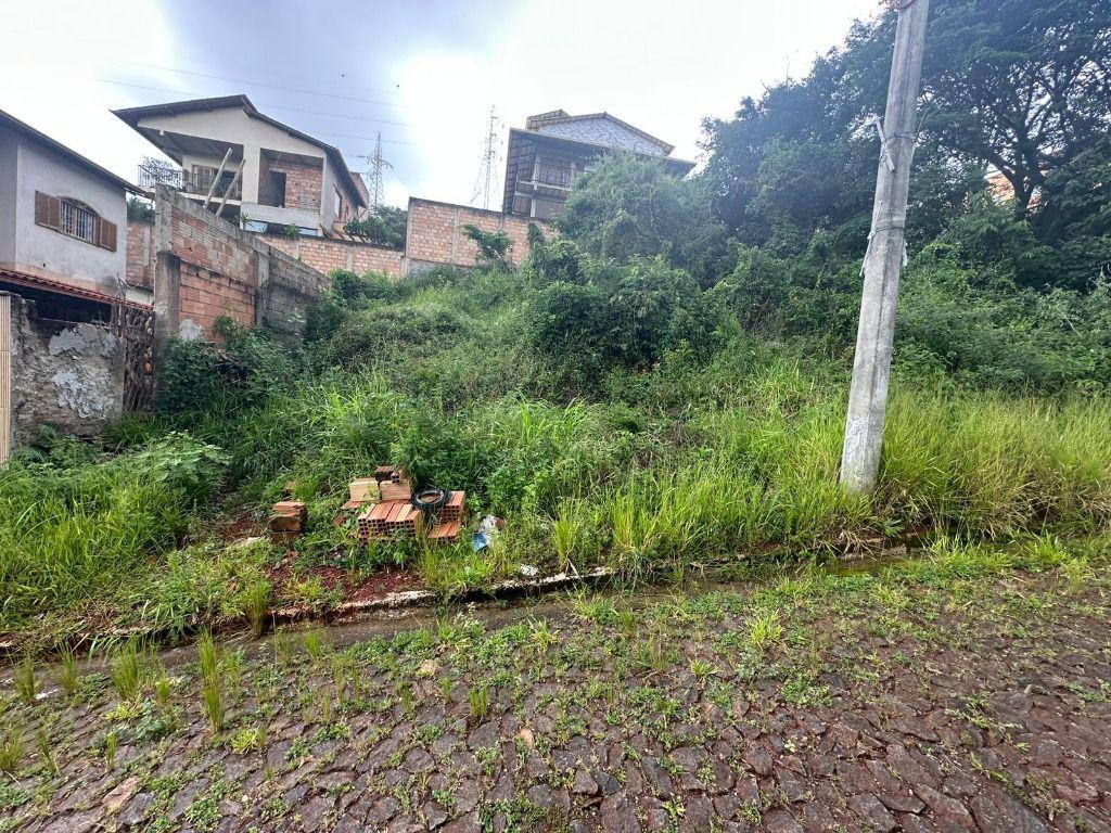 Lote, Vila Real, 0 Quarto, 0 Vaga