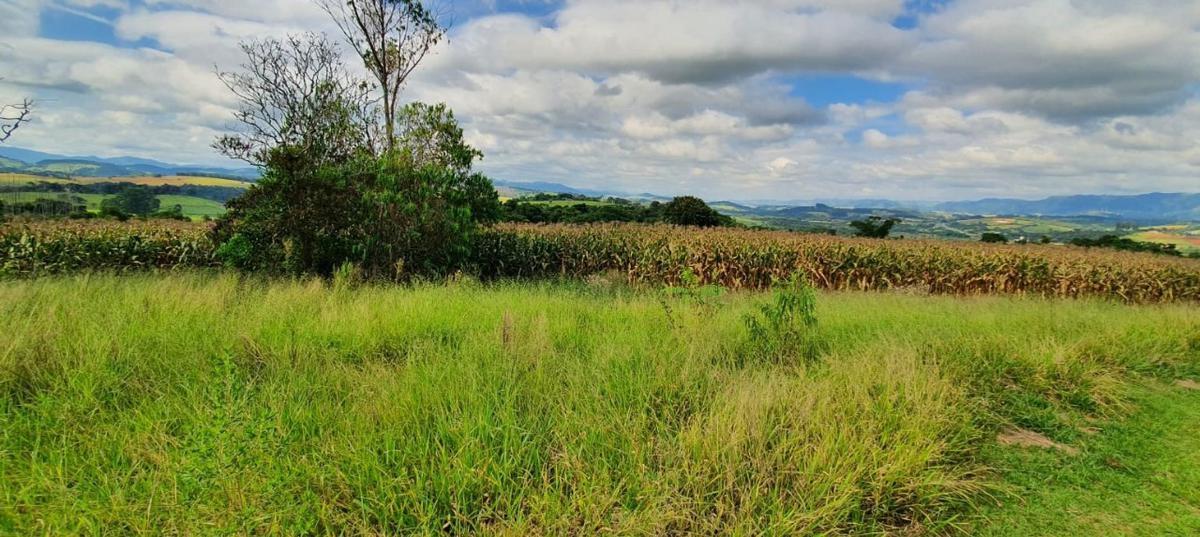 Lote, Centro, 4 Quartos, 2 Vagas