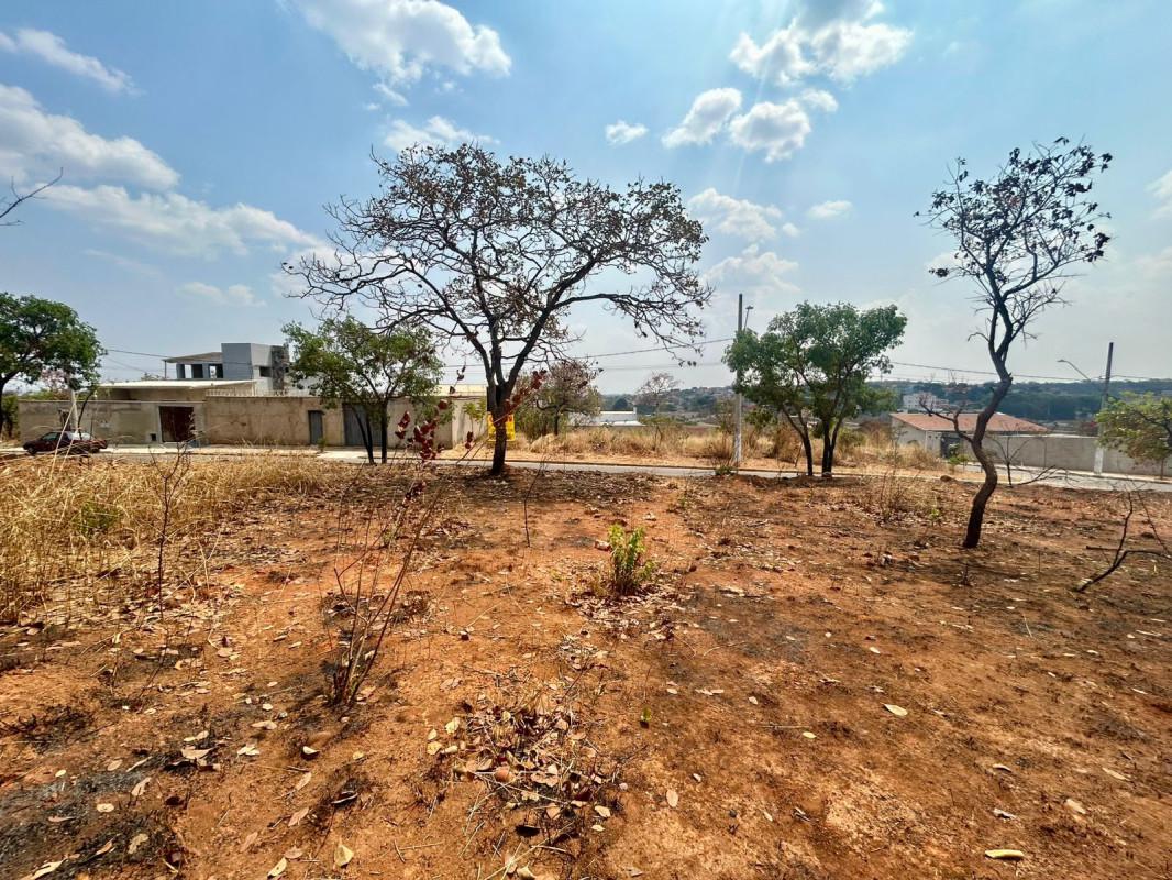 Lote, Vila dos Ipês, 0 Quarto, 0 Vaga