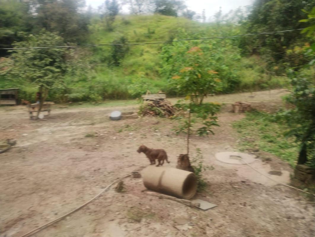 Fazenda, Centro, 0 Quarto, 0 Vaga