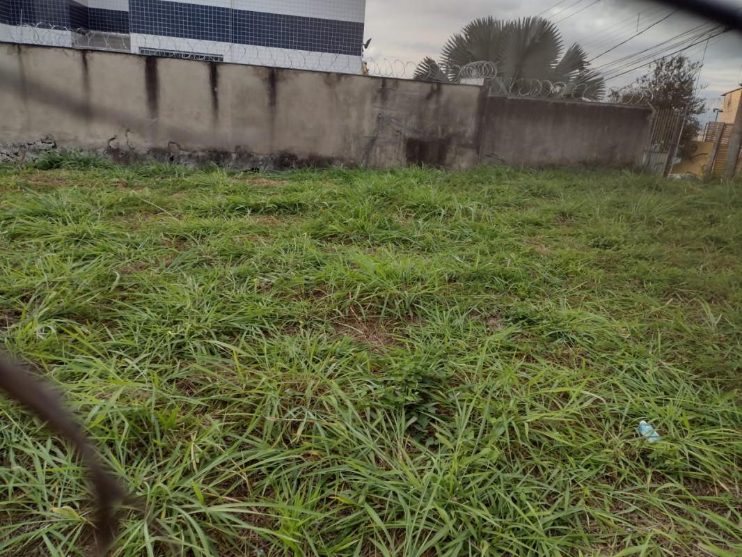 Lote, Renascença, 0 Quarto, 0 Vaga