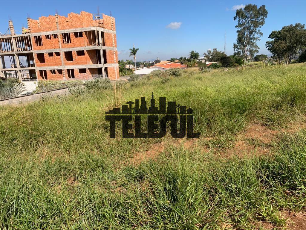 Lote, Vila Paiva, 0 Quarto, 0 Vaga