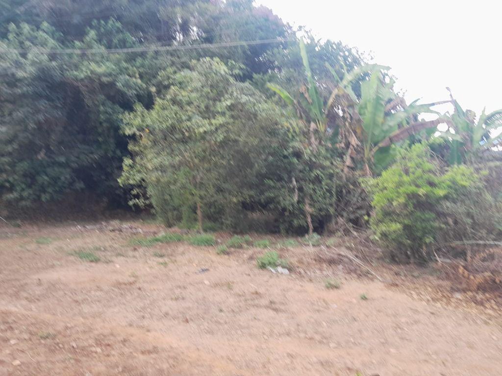 Lote, Paciência, 0 Quarto, 0 Vaga