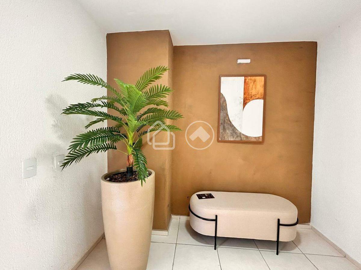 Apartamento, Palmeiras, 2 Quartos, 1 Vaga, 1 Suíte